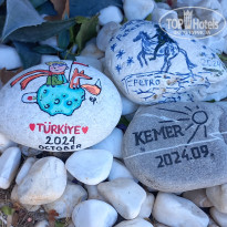 фото из отзыва ID 2653011