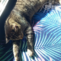 фото из отзыва ID 2653011