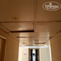 фото из отзыва ID 2655109