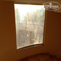 фото из отзыва ID 2655109