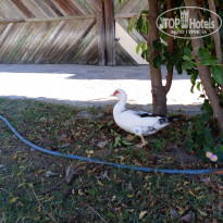 фото из отзыва ID 2655109