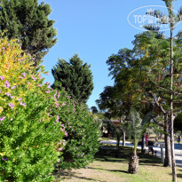 фото из отзыва ID 2655109