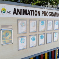 фото из отзыва ID 2655109