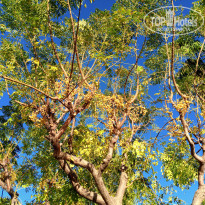 фото из отзыва ID 2655109