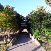 фото из отзыва ID 2655109