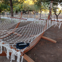 фото из отзыва ID 2655109