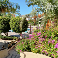 фото из отзыва ID 2655109