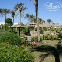 фото из отзыва ID 2657248