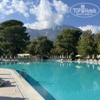 фото из отзыва ID 2658325