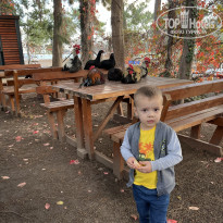 фото из отзыва ID 2658325