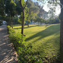 фото из отзыва ID 2658325