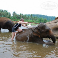 фото из отзыва ID 266075