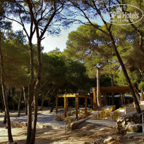 фото из отзыва ID 266571