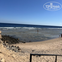 фото из отзыва ID 2660104