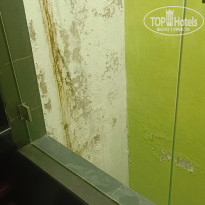 фото из отзыва ID 2660122