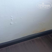 фото из отзыва ID 2660122