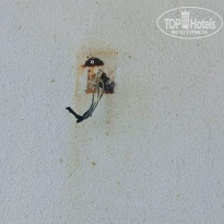 фото из отзыва ID 2660122