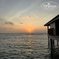 фото из отзыва ID 2660168