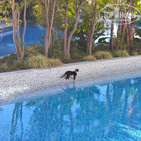 фото из отзыва ID 2660274