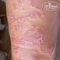 фото из отзыва ID 2660278