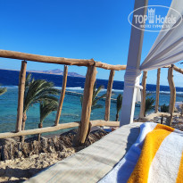 фото из отзыва ID 2660375