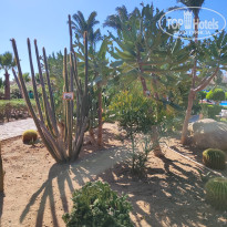 фото из отзыва ID 2660375