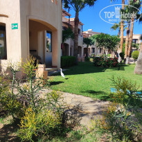 фото из отзыва ID 2660375