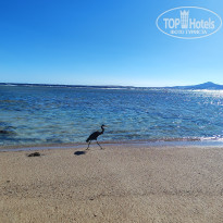 фото из отзыва ID 2660375