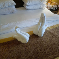 фото из отзыва ID 2660470