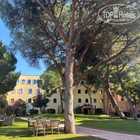 фото из отзыва ID 2660494