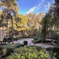 фото из отзыва ID 2660494