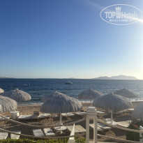 фото из отзыва ID 2660506