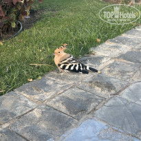 фото из отзыва ID 2660506