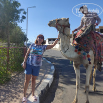 фото из отзыва ID 2660507