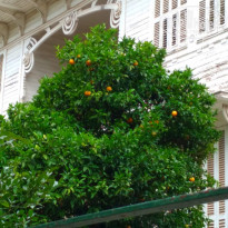 фото из отзыва ID 2660594