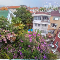 фото из отзыва ID 2660594