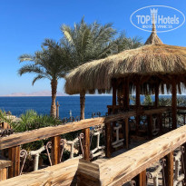 фото из отзыва ID 2660604