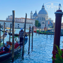 фото из отзыва ID 2660627