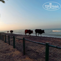 фото из отзыва ID 2660679