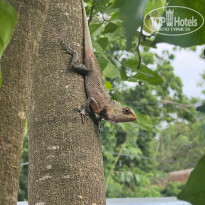 фото из отзыва ID 2660683