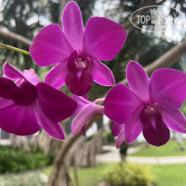 фото из отзыва ID 2660741