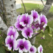 фото из отзыва ID 2660741