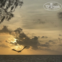 фото из отзыва ID 2660741