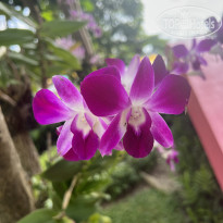 фото из отзыва ID 2660741