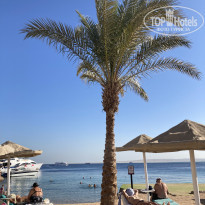 фото из отзыва ID 2660743