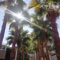 фото из отзыва ID 2660753