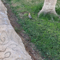 фото из отзыва ID 2660798