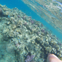 фото из отзыва ID 2660798