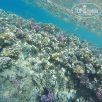 фото из отзыва ID 2660798