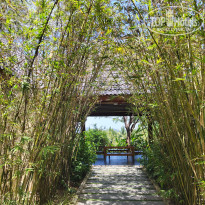 фото из отзыва ID 2660825